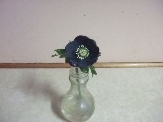  prussian blue hellebore taken by eileen prunster august 2014 